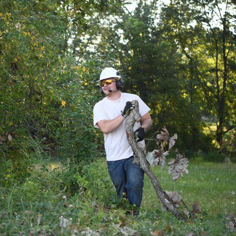 Tyler Gump dragging a branch