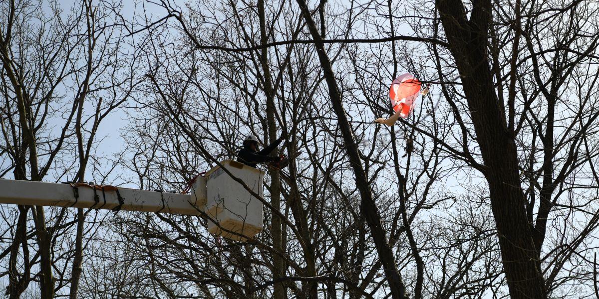 Right of way crew in bucket with balloon in tree