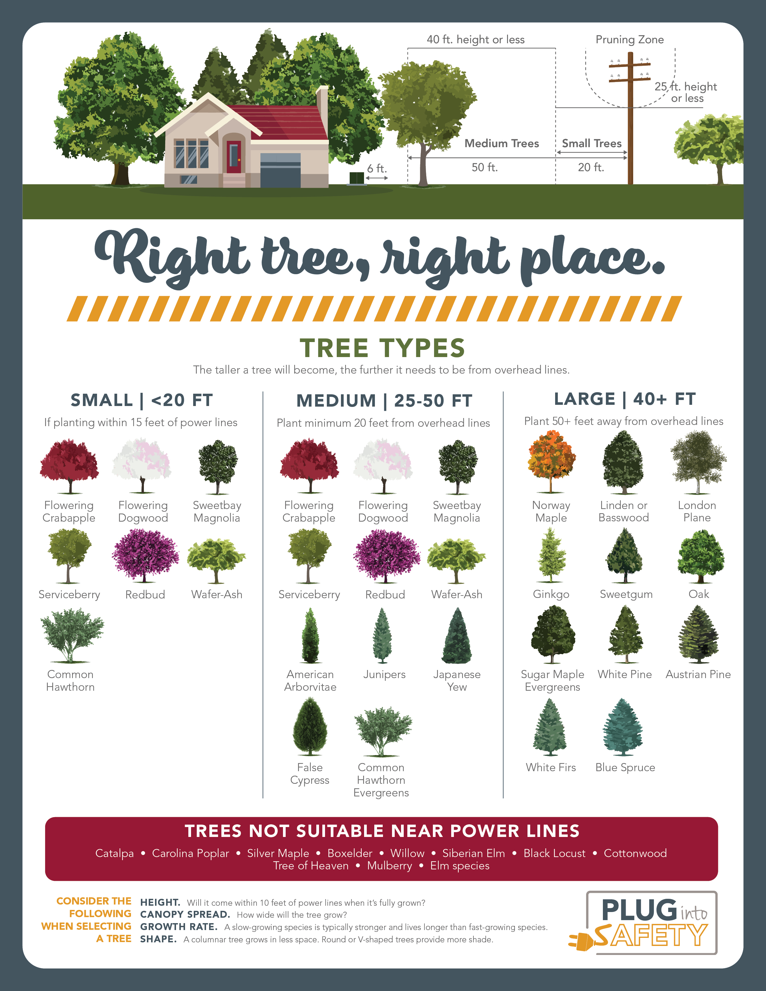 Where To Plant Trees